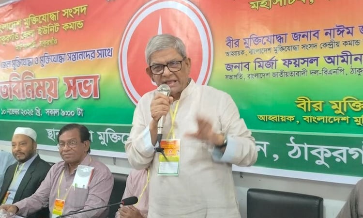 Vested quarter trying to linger upcoming national polls: Fakhrul