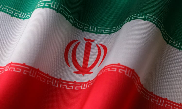 Iran executes man in public over killing of physician