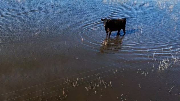 Record rains turn Argentina's farm-filled Pampas plains to wetlands