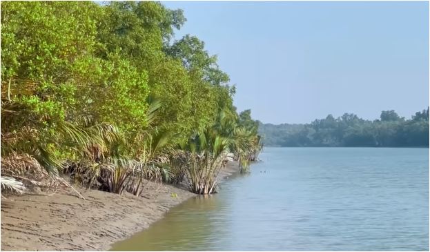 Govt to strengthen climate resilience in country’s vulnerable coastal belt