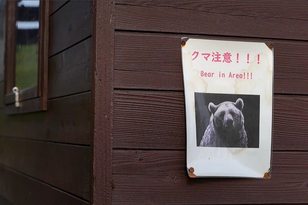 Japan to enlist retired cops, soldiers to cull bears