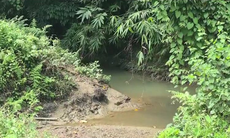 Khagrachhari's Paraban can be role model in protecting biodiversity