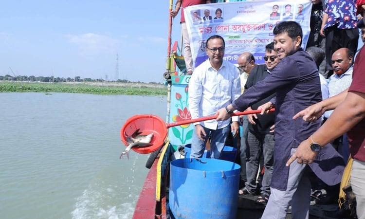 DC releases fish fry into Meghna to boost local biodiversity