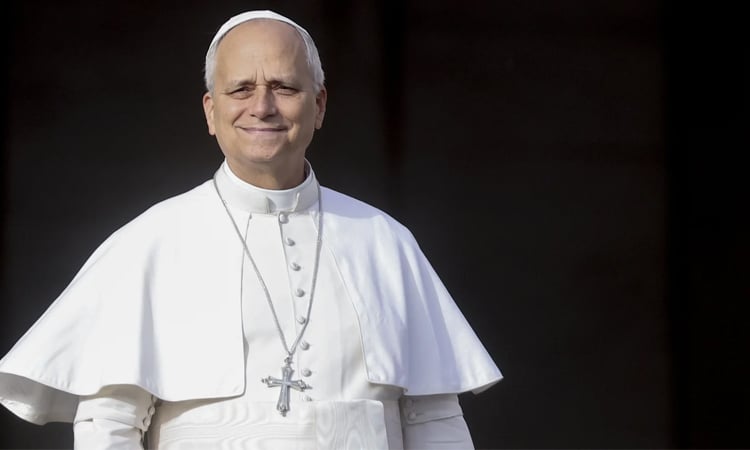 Pope decries lack of political will on climate change