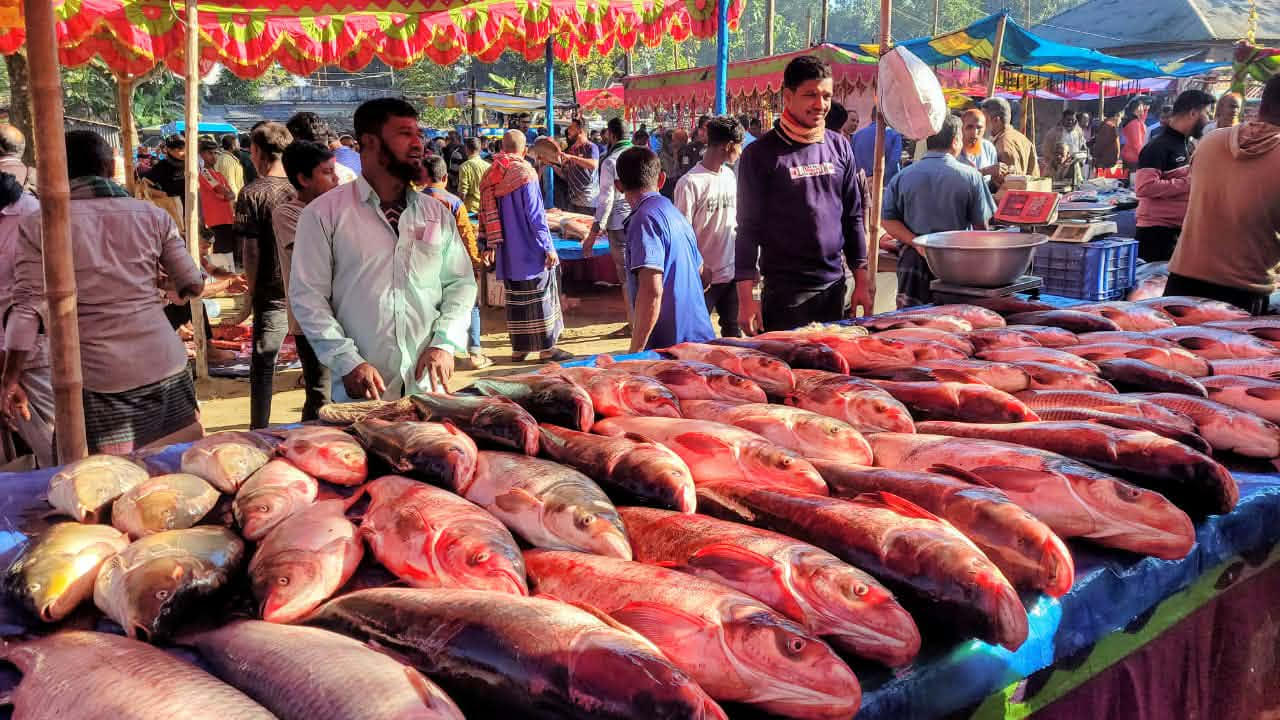 Traditional fish fair held marking Nabanna festival in Bogura