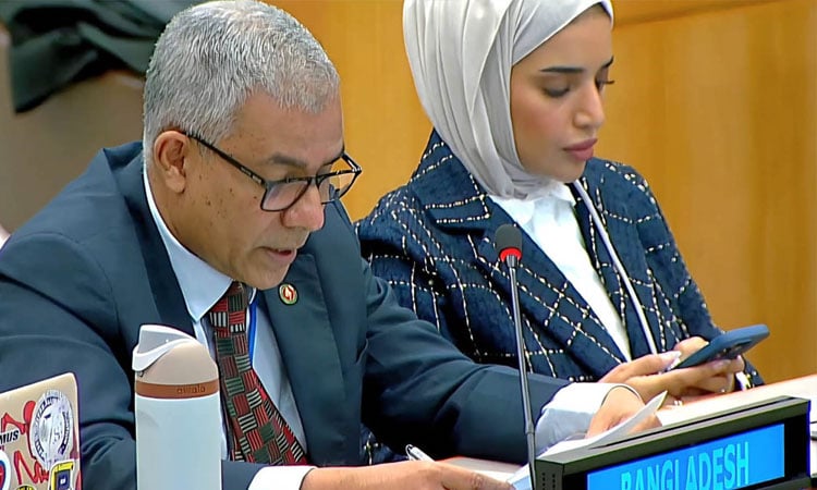 UNGA adopts resolution seeking return of Rohingyas to Myanmar