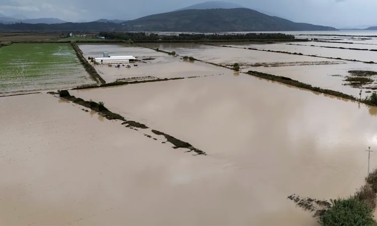 Floods hit Albania, leave one dead