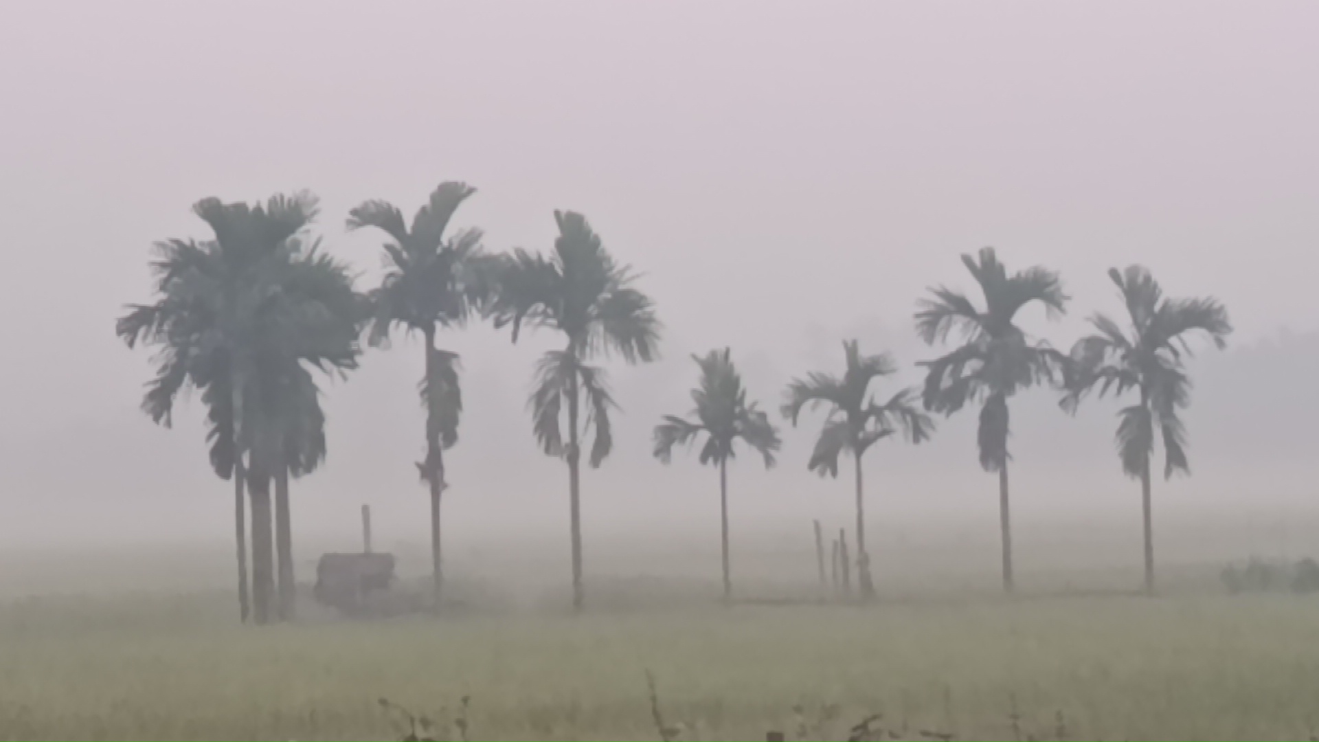 Cold weather grips northern district Panchagarh