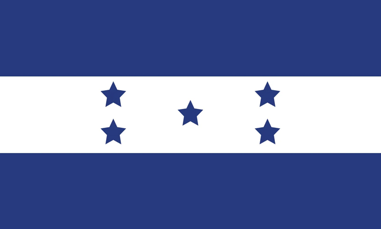 Honduras presidential election campaign ends in hail of accusations