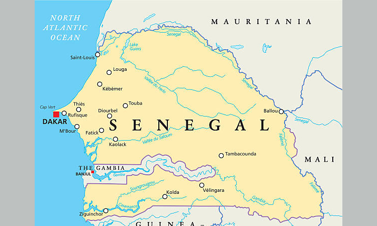 Senegal arrests suspected killer of AFP's Gambia correspondent