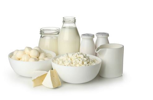 Speakers call for increasing dairy product intake to address nutrition deficiency
