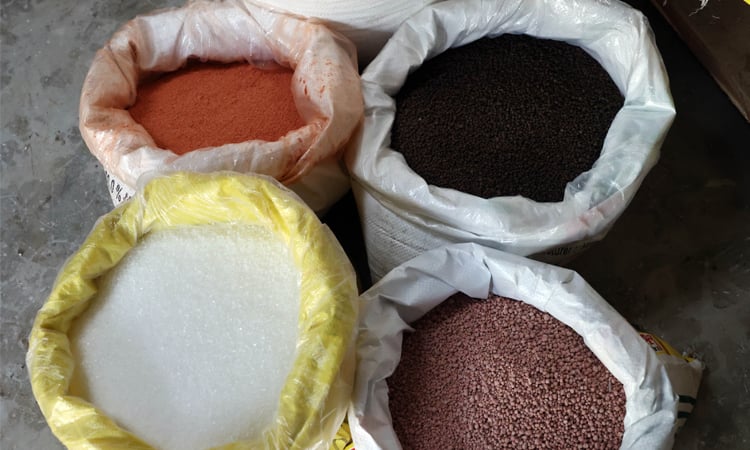 Govt to procure 80,000 MTs fertilizer