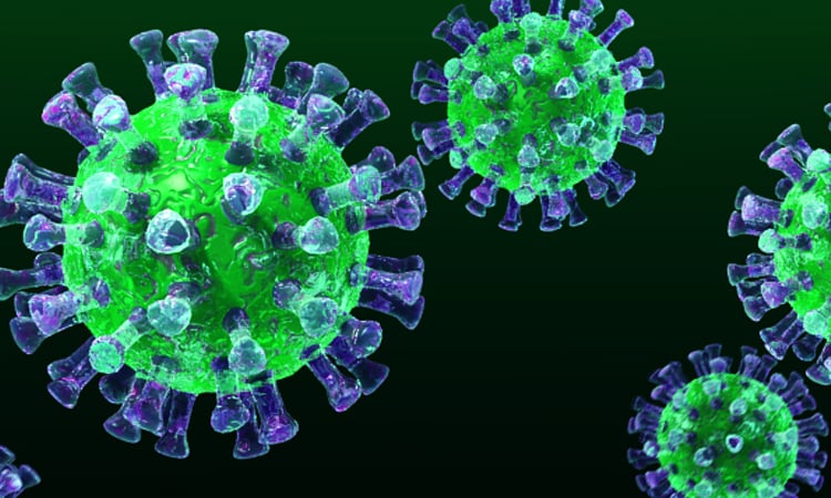 France detects two MERS virus cases among tour group