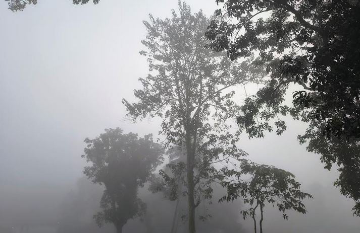 Shivering cold wind intensifies suffering of children, elderly in Kurigram