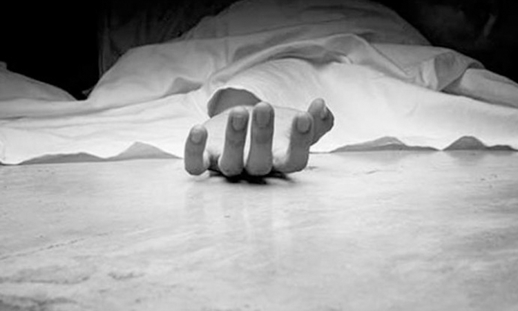 Truck driver killed in Jhenaidah