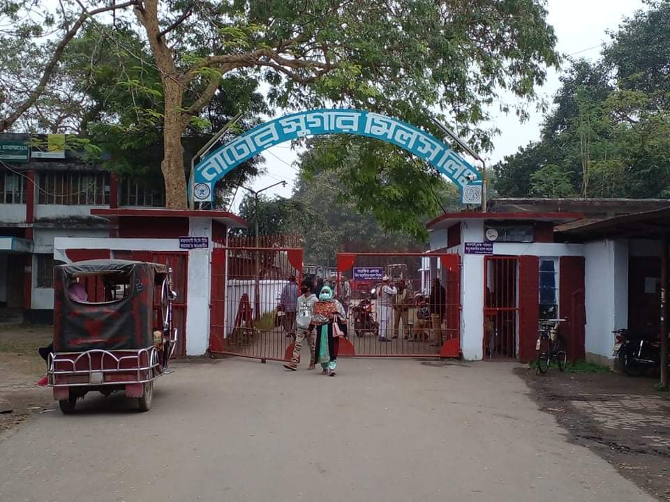 Two Natore sugar mills produce over 3,360 tonnes this season