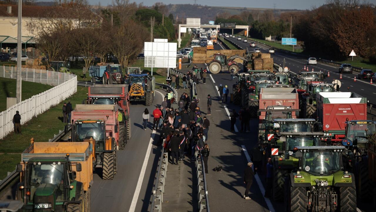 'Stop the slaughter': French farmers block roads over cow disease cull