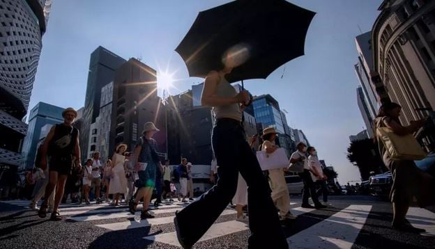 Japan govt sued over 'unconstitutional' climate inaction