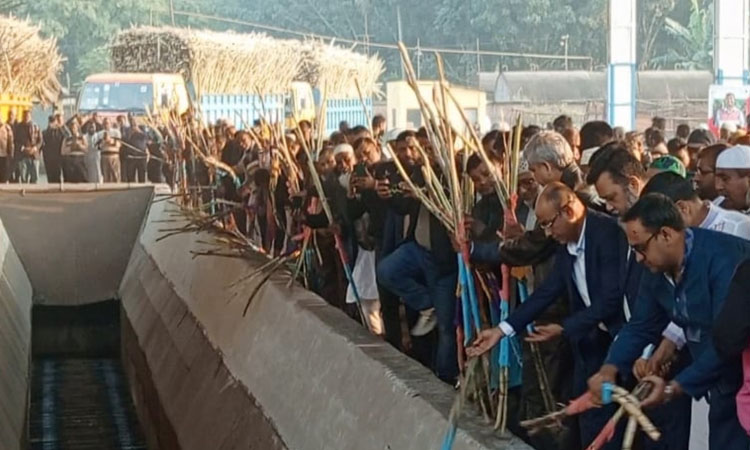 Thakurgaon Sugar Mill's 68th sugarcane threshing season inaugurated