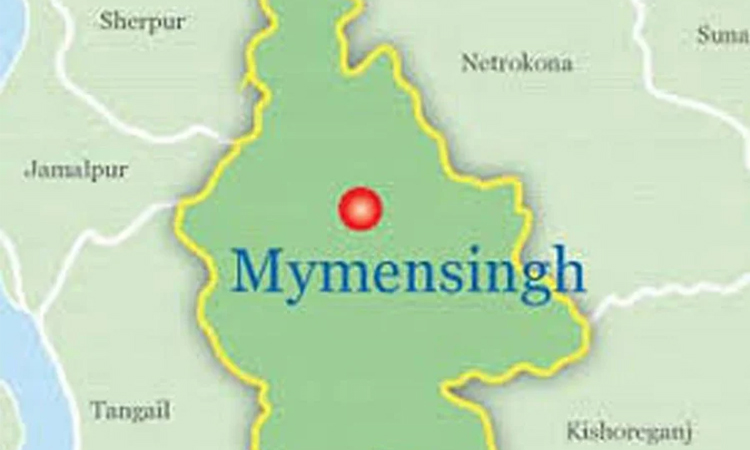 Three more suspects held over killing of Hindu youth in Mymensingh