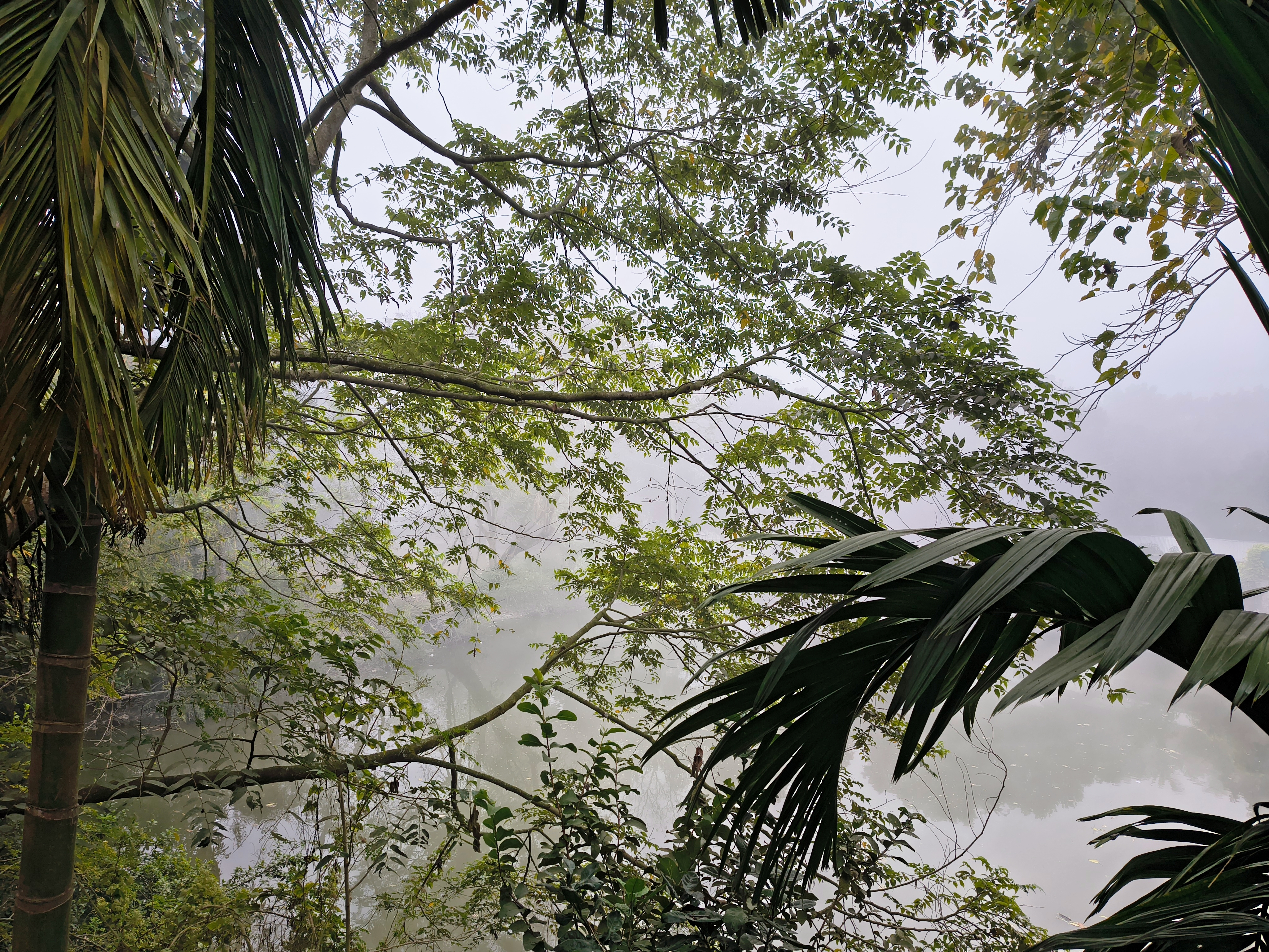 Cold winds disrupt life in Kurigram's char areas