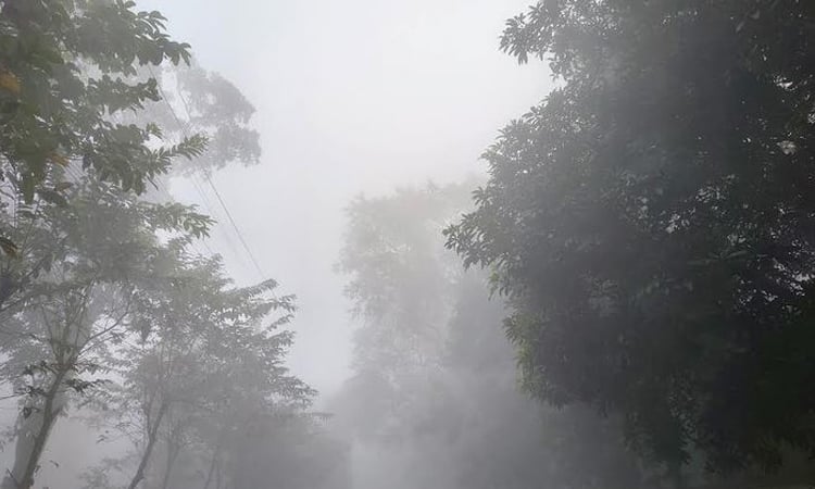 Biting cold, dense fog worsen hardship of char dwellers in Kurigram