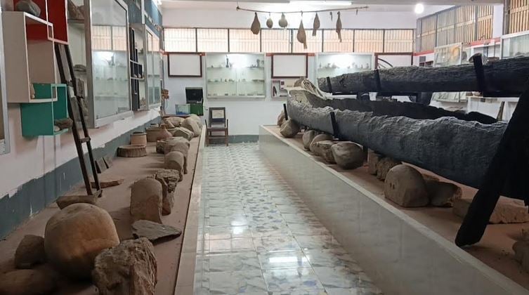 Panchagarh's unique 'Rocks Museum' draws tourists with ancient artifacts