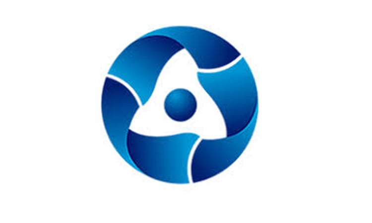 Rosatom technical academy conducts internship for foreign nuclear specialists
