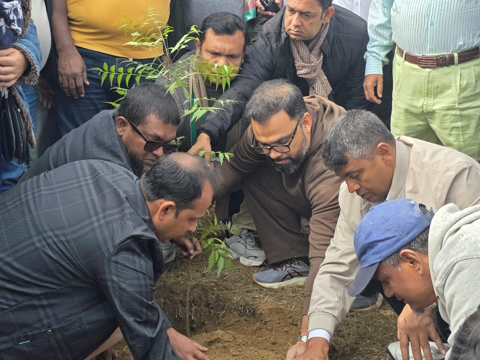 BNP's tree plantation program to compensate for reception venue damage