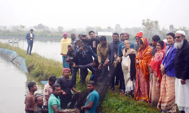 Production of freshwater prawn, shrimp must be protected: Farida Akhter