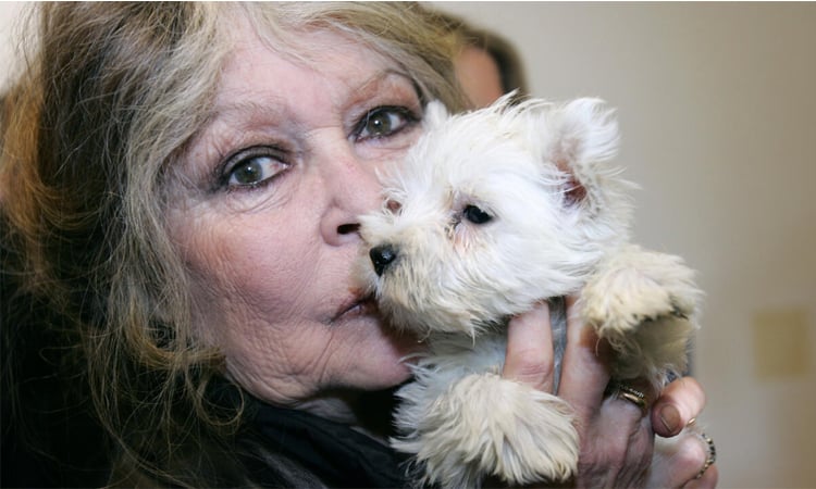 France's screen siren Brigitte Bardot dies at 91