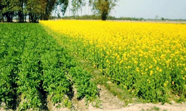 Weather continues to improve with bright sunshine in north