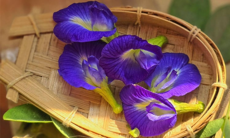 Jannatul Ferdous turns a confining hobby into a rising craft brand 