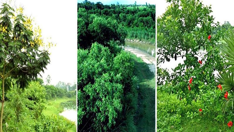 EIR project sets benchmark for ecosystem revival in Rangpur