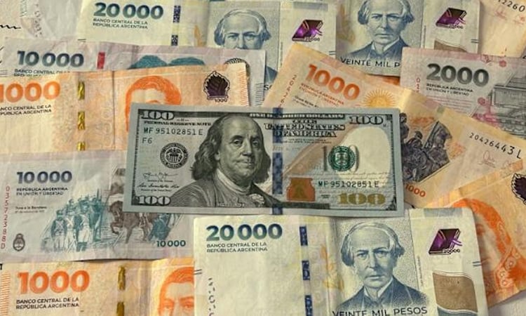 Milei eases tax evasion rules to draw out 'mattress dollars'