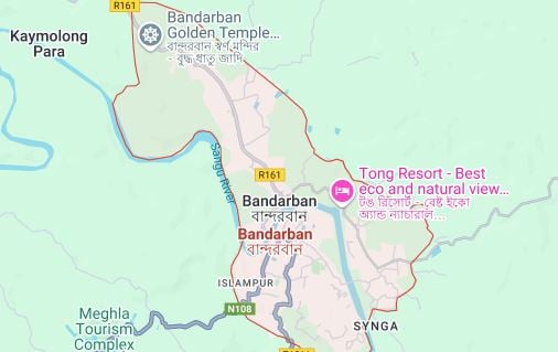 Wild elephant kills man in Bandarban