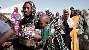 114 killed in week of attacks in Sudan's Darfur: medical sources