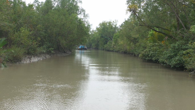 3 kidnapped tourists rescued in Sundarbans