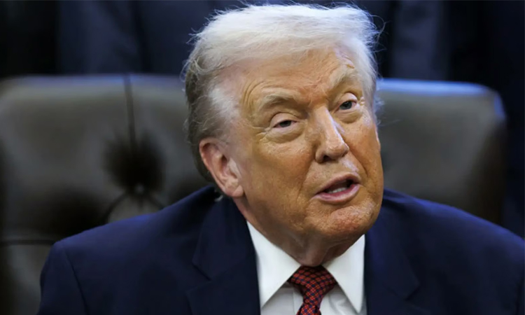 Trump insists 'we need Greenland'