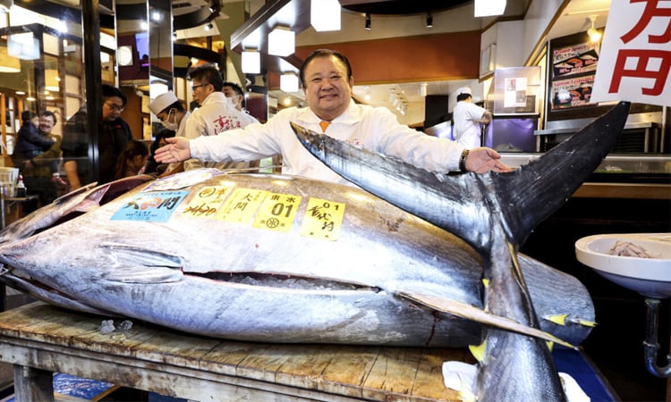 'Tuna King' pays record $3.2 mn for bluefin at Tokyo auction