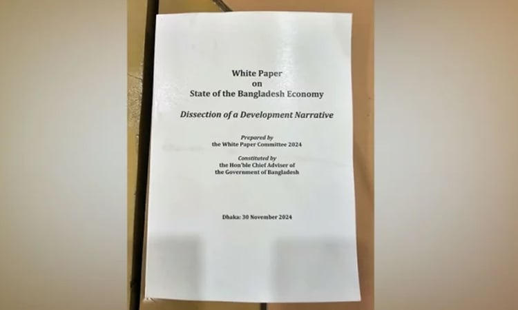 White paper on Posts and Telecommunications published