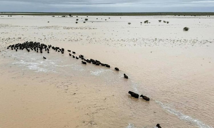 Australian PM to tour outback flood disaster zone