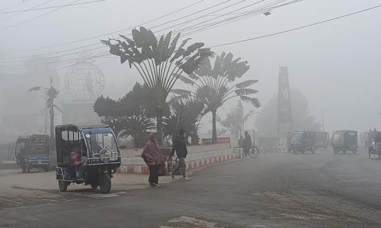 Severe cold grips Panchagarh, disrupting normal life