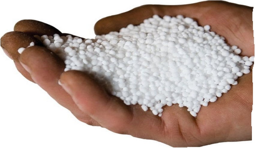 Govt to procure 40,000 MTs of urea fertilizer from Saudi Arabia 
