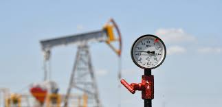 Russia's economy avoided recession, achieved lower inflation in 2025: expert