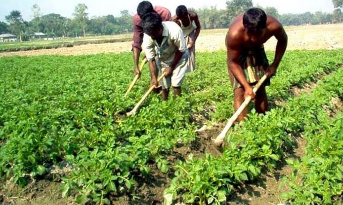 Despite extreme cold, sunny weather refreshed northern people