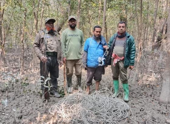 One poacher held in Sundarbans