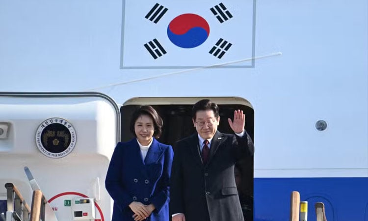 South Korean leader turns to penguins in bid to meet Kim Jong Un