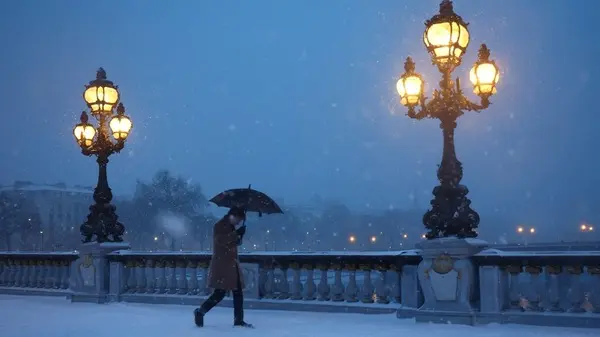 Snow forces around 140 flight cancellations in Paris: transport minister