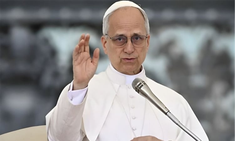 Palestinians have right to live in peace in 'own land': pope